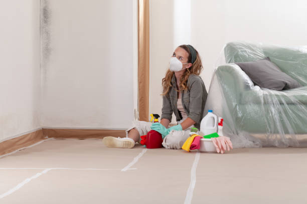 Reliable Mold Testing contractor in Decatur, TX by WQB Mold Removal